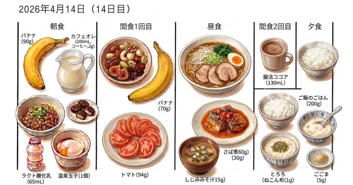 2026年4月14日の食事内容
